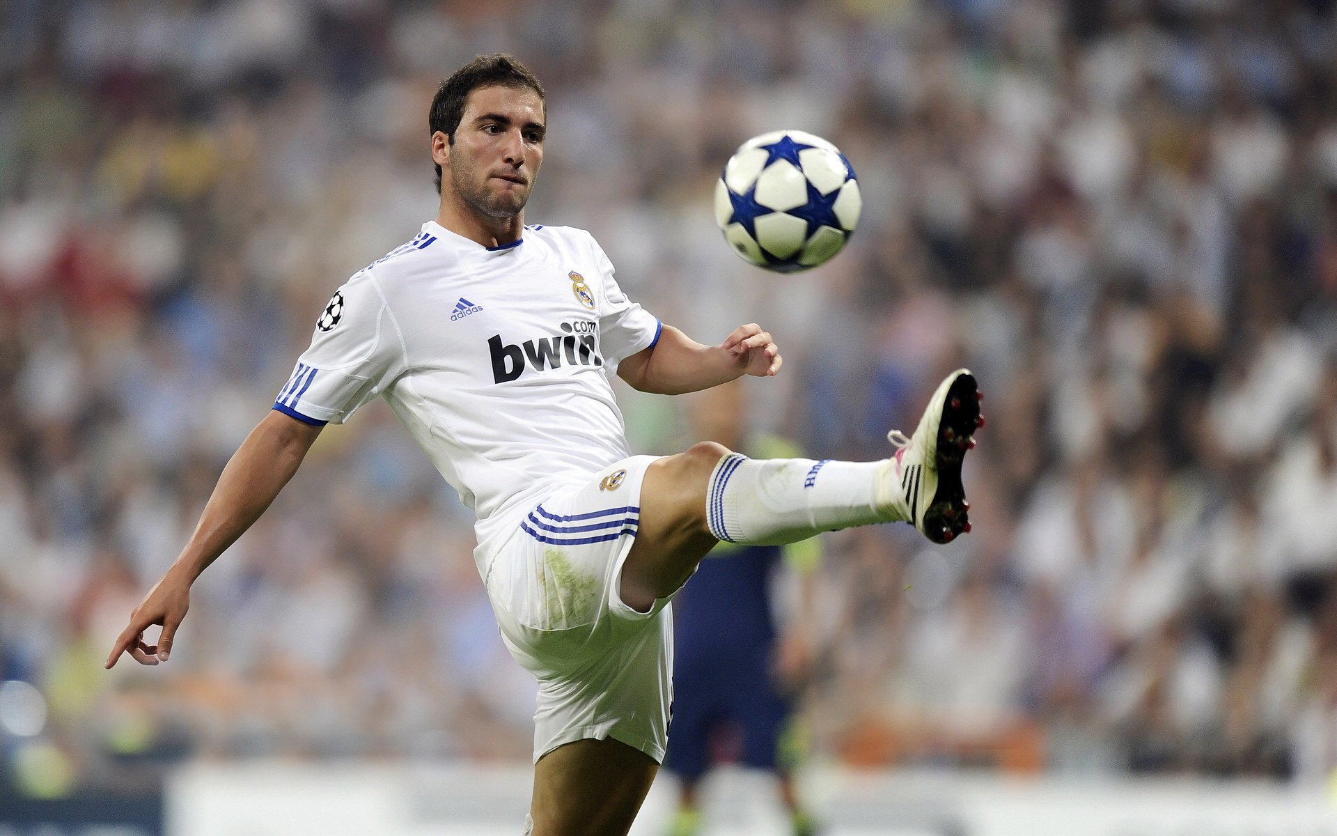 青少年赛事结构缺乏层级联动,青少年比赛项目