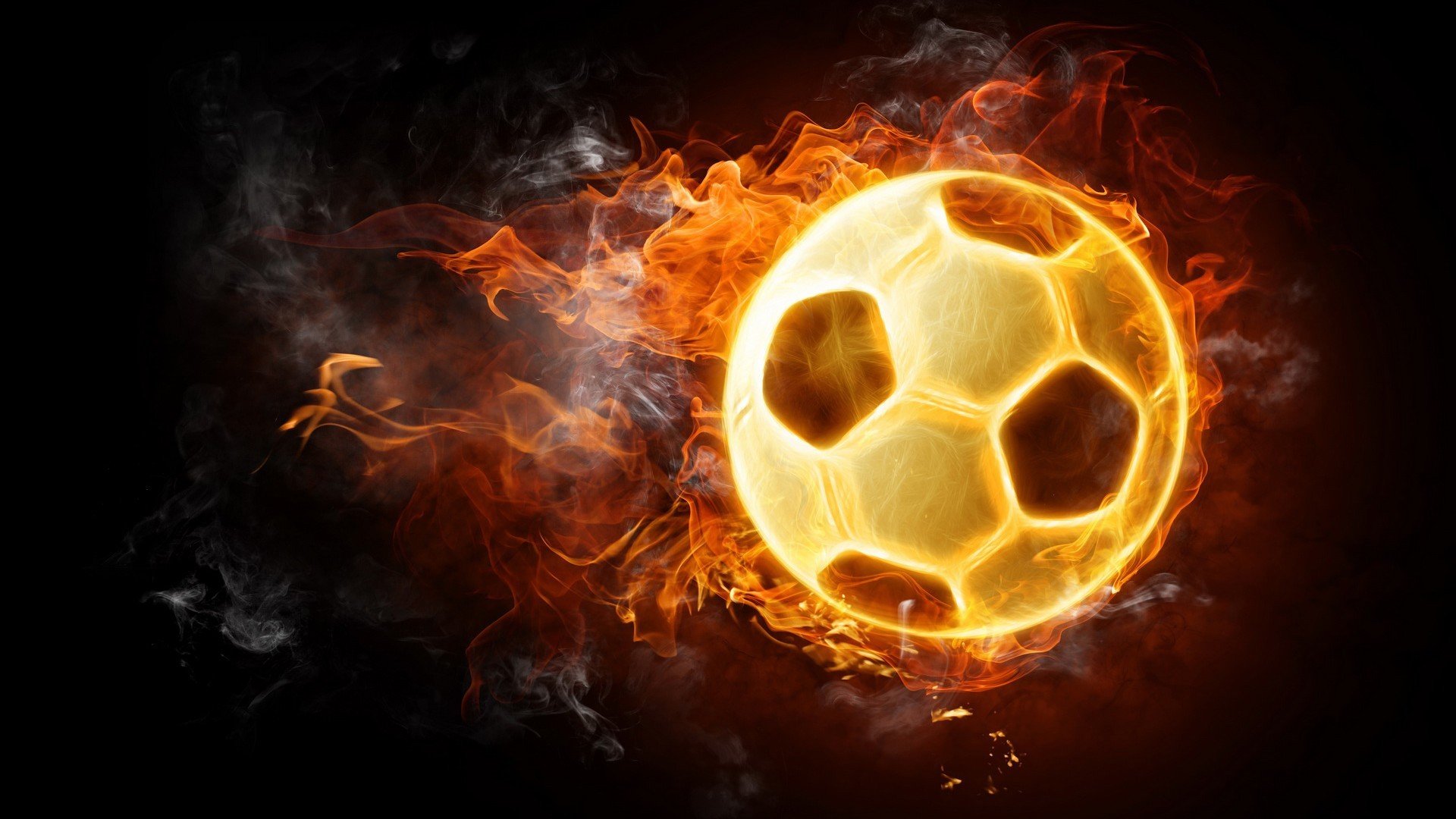 体育新闻中心粉丝互动报道,体育新闻报道视频