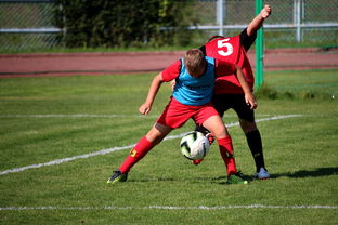 爱游戏入口-中国足球俱乐部管理团队的专业化与运营效率提升，足球俱乐部管理架构